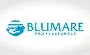blumarepro.com.br
